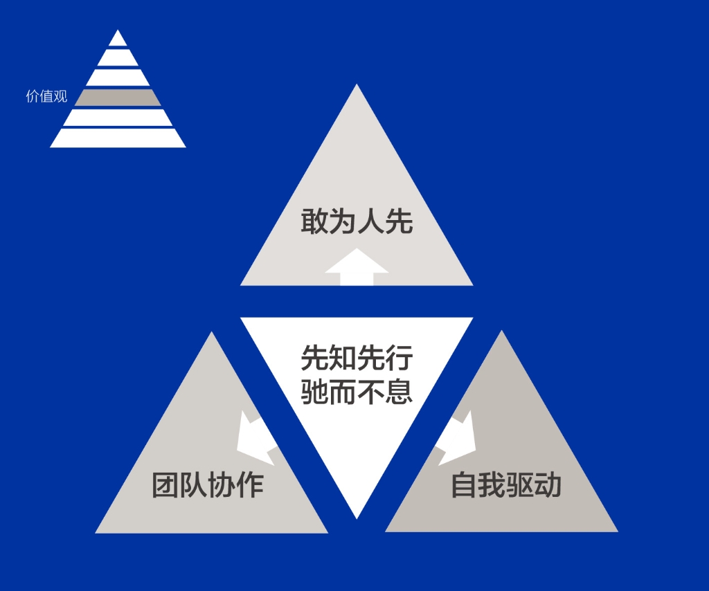 大奖国际人的DNA——价值观