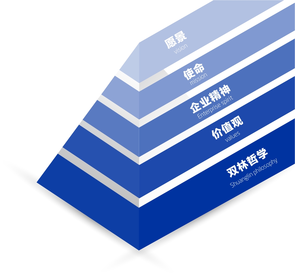 大奖国际文化理念体系图解